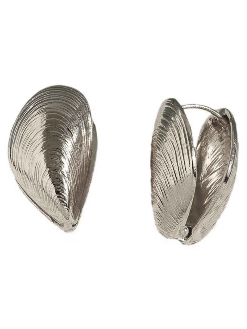 Silver-toned Seashell Mussel Earrings